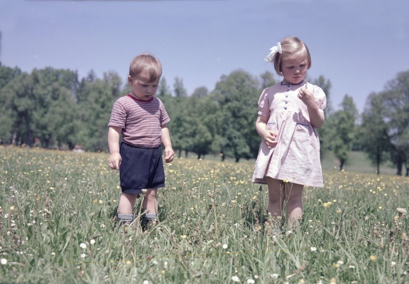 Online Platforms, Child Care, Social Skills Enhancement, Educational Toys, Child Development